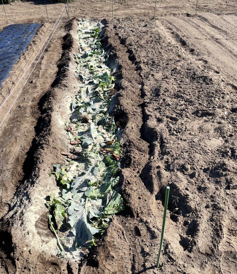 野菜の残渣に発酵鶏糞、米ぬか、カルスNCRを使って土壌改良をする